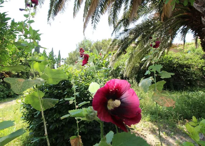 Апартаменты Centre Free Parking 1&2 Floor