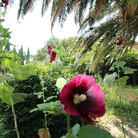 Apartment Centre Free Parking 1&2 Floor